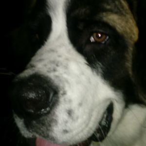 Meet your Posher, Berry